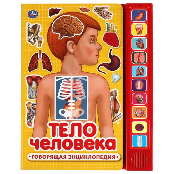 Книга озвуч. Умка Тело человека 036692 - КупиМама в городе Махачкала / kupimama.ru